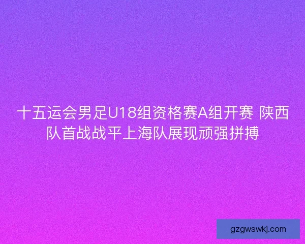 十五运会男足U18组资格赛A组开赛 陕西队首战战平上海队展现顽强拼搏