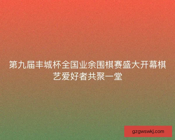 第九届丰城杯全国业余围棋赛盛大开幕棋艺爱好者共聚一堂