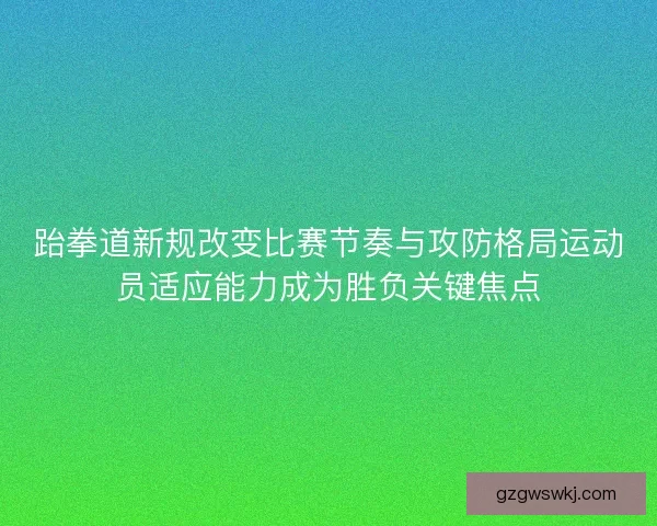 跆拳道新规改变比赛节奏与攻防格局运动员适应能力成为胜负关键焦点